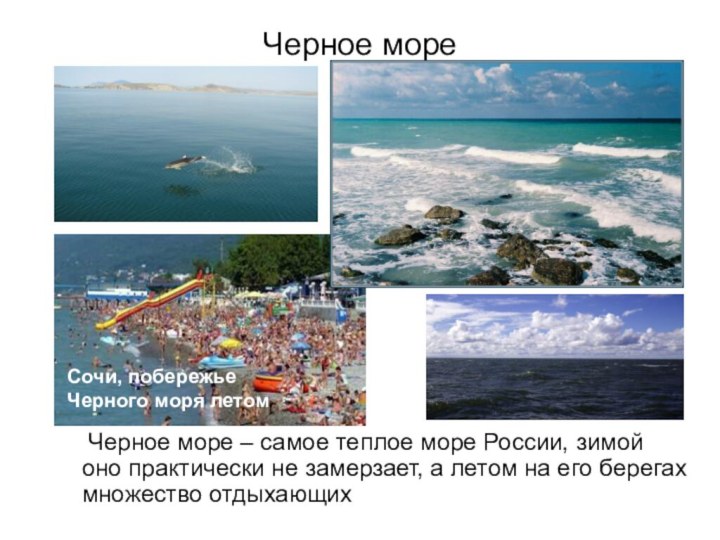 Черное море   Черное море – самое теплое море России, зимой