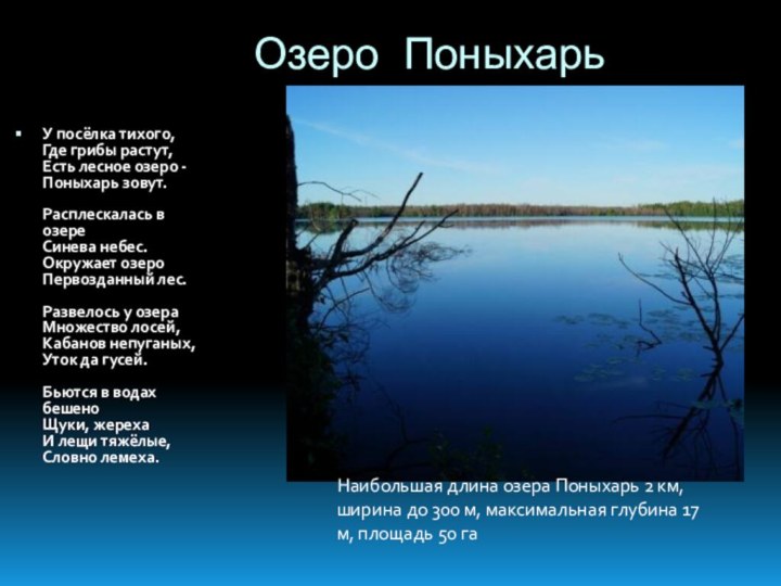 Озеро ПоныхарьУ посёлка тихого,  Где грибы растут,  Есть лесное озеро -  Поныхарь