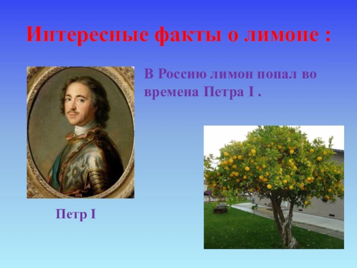 В Россию лимон попал во времена Петра I .Петр I Интересные факты о лимоне :