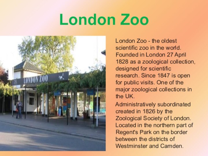 London Zoo   London Zoo - the oldest scientific zoo