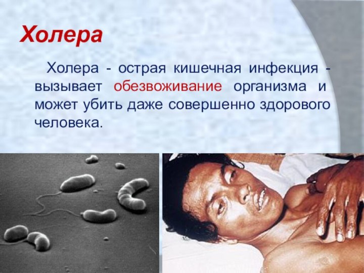 Холера  Холера - острая кишечная инфекция -вызывает обезвоживание организма и может
