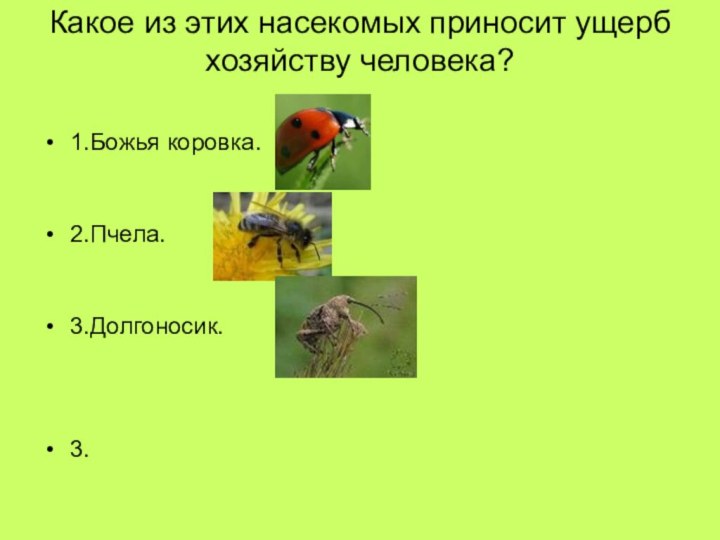 Какое из этих насекомых приносит ущерб хозяйству человека? 1.Божья коровка.2.Пчела.3.Долгоносик.3.
