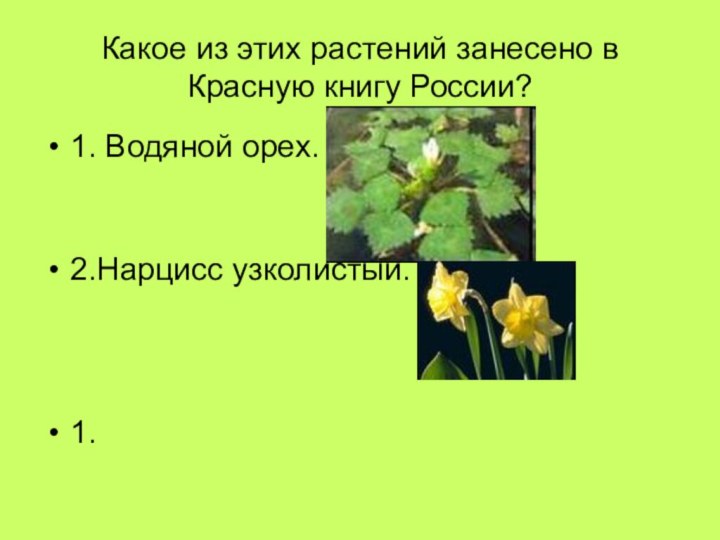 Какое из этих растений занесено в Красную книгу России?1. Водяной орех.2.Нарцисс узколистый.1.