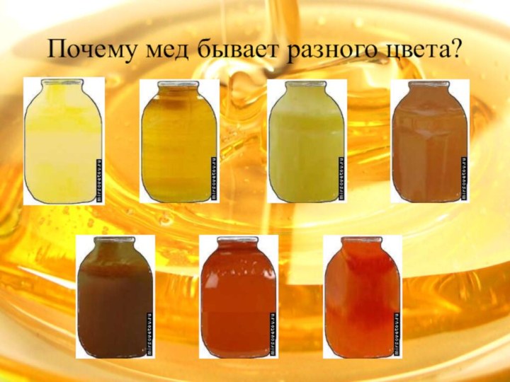 Почему мед бывает разного цвета?