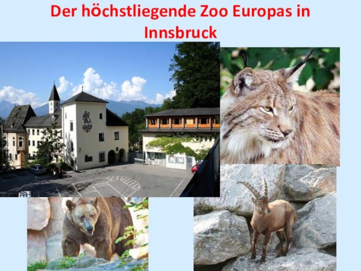 Der hӧchstliegende Zoo Europas in Innsbruck