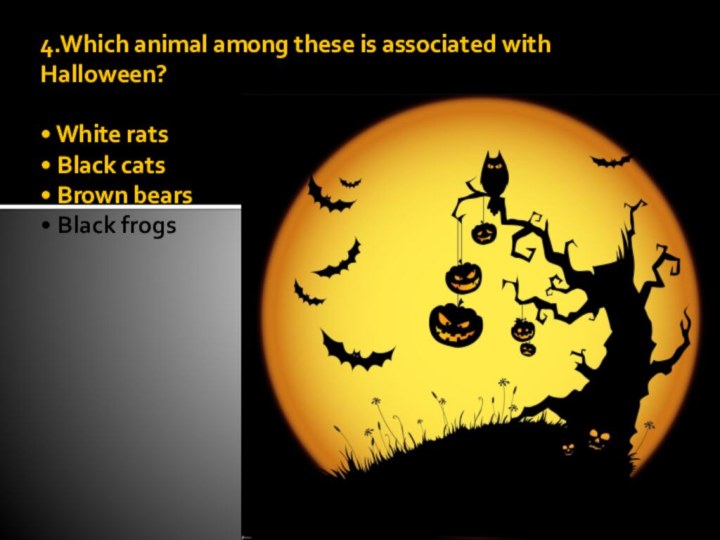 4.Which animal among these is associated with Halloween?  • White rats