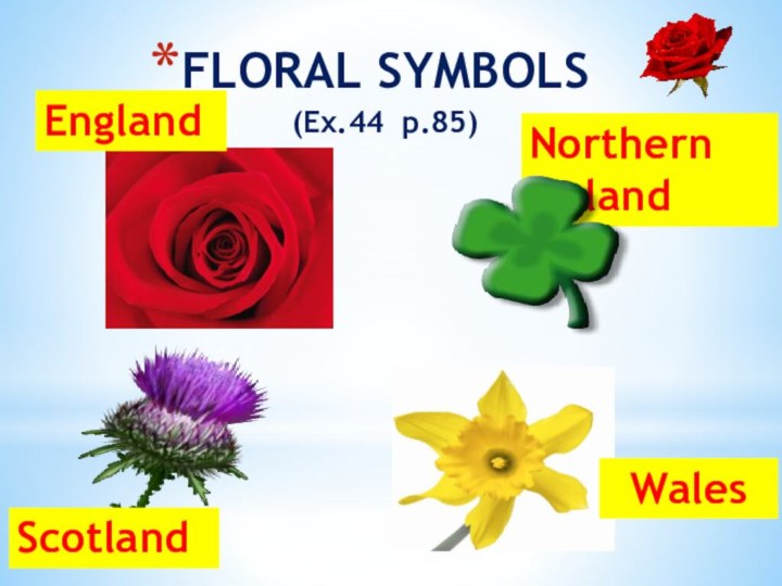 FLORAL SYMBOLS (Ex.44 p.85)ScotlandWalesEnglandNorthern 	Ireland