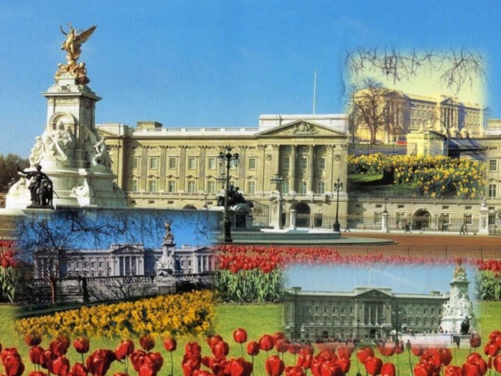 The  Buckingham  Palace