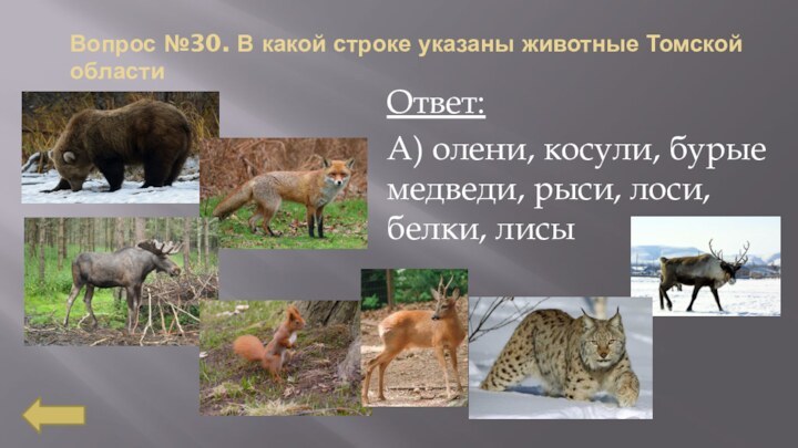 Вопрос №30. В какой строке указаны животные Томской областиОтвет:А) олени, косули, бурые
