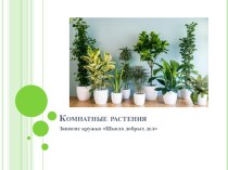 Презентация по окружающему миру на тему Виды комнатных растений