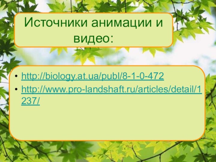 http://biology.at.ua/publ/8-1-0-472http://www.pro-landshaft.ru/articles/detail/1237/ Источники анимации и видео: