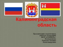 Презентация по географии на тему Калининградская область (9 класс)