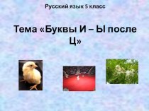Презентация по русскому языку на тему Буквы И-Ы после Ц (5 класс)