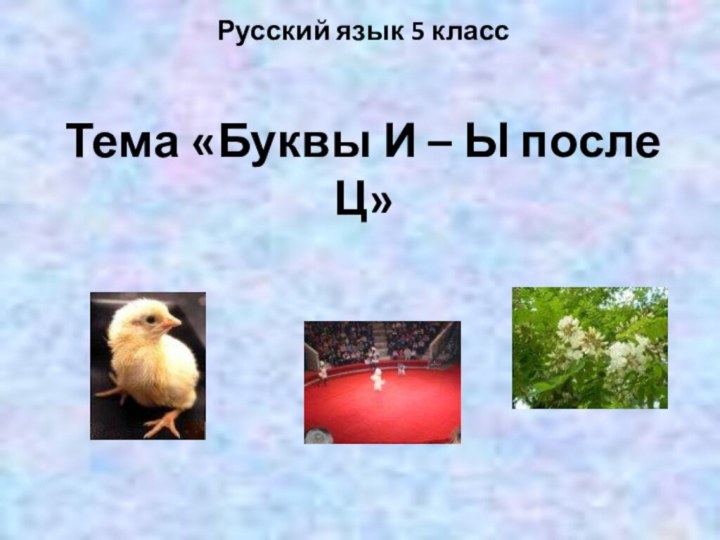 Русский язык 5 класс   Тема «Буквы И – Ы после Ц»
