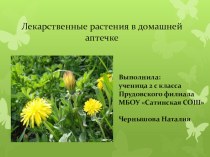 Презентация по окружающему миру на тему Лекарственные растения Тамбовской области