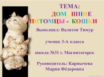 Презентация по естествознанию на тему: Домашние питомцы - кошки
