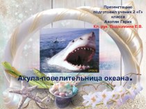Презентация по окружающему миру по теме Акула-повелительница океана