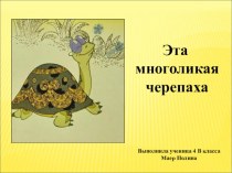 Презентация по окружающему миру Черепахи