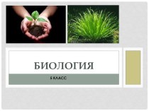 Презентация к уроку по биологии Почва как среда жизни. Роль растений и животных в почвообразовании