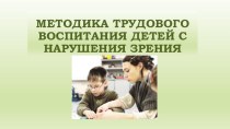 Методика трудового воспитания детей с нарушения зрения