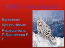 Презентация по английскому языку о снежном леопарде