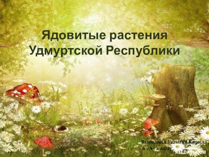 Ядовитые растения Удмуртской РеспубликиВыполнил Устюгов Кирилл 6 «А» класс