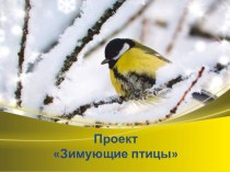 Информационно-творческий проект Зимующие птицы