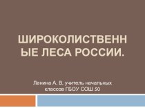 Презентация по окружающему миру Виды хвойных и широколиственных деревьев России