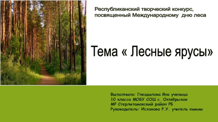 Республиканский творческий конкурс,  посвященный Международному дню леса Тема « Лесные ярусы»