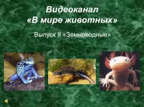Презентация урока биологии  Многообразие, значение и охрана земноводных