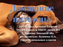 Презентация пректа на темуДомашние питомцы (1 класс)