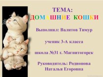 Презентация по окружающему миру на тему Домашние кошки