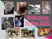 Презентация Welcome to the Zoo(5 класс)