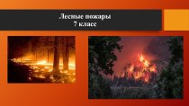 Презентация к уроку ОБЖ на тему Лесные пожары