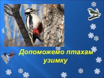 Презентація на тему Допоможемо птахам взимку