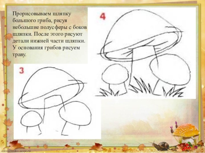Прорисовываем шляпку большого гриба, рисуя небольшие полусферы с боков шляпки. После