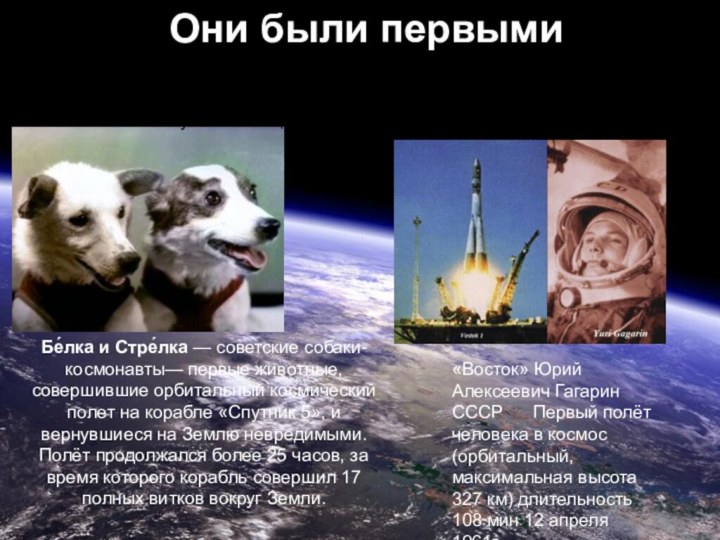 Они были первыми Бе́лка и Стре́лка — советские собаки-космонавты— первые животные, совершившие орбитальный