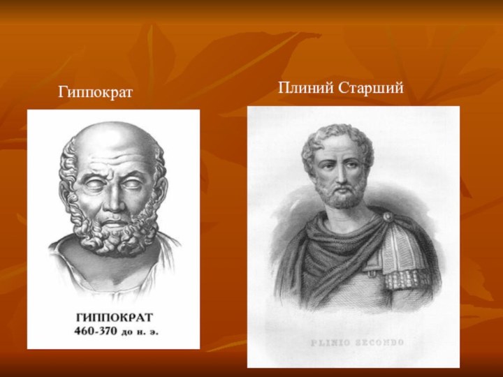 Плиний Старший     Гиппократ