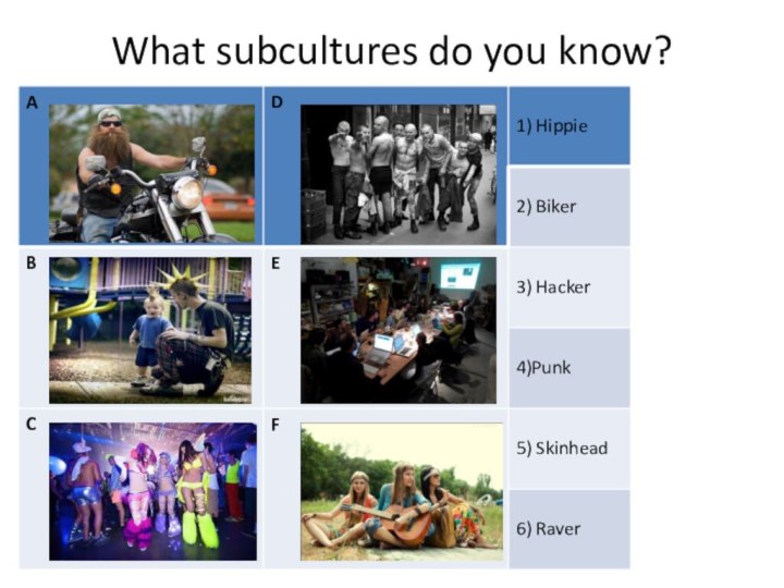 What subcultures do you know?1 - F2 - A3 - E4 -