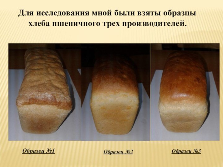 Для исследования мной были взяты образцы хлеба пшеничного трех производителей.Образец №1 Образец №2Образец №3