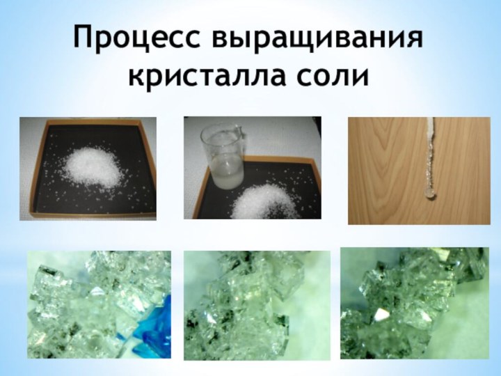 Процесс выращивания кристалла соли