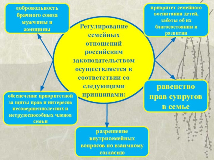 Регулирование семейных отношений российским законодательством осуществляется в соответствии со следующими принципами:добровольность