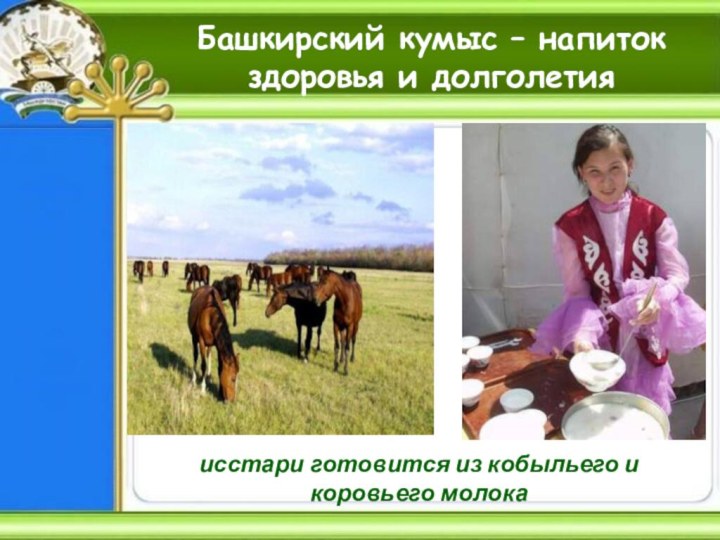 Башкирский кумыс – напиток здоровья и долголетияисстари готовится из кобыльего и коровьего молока