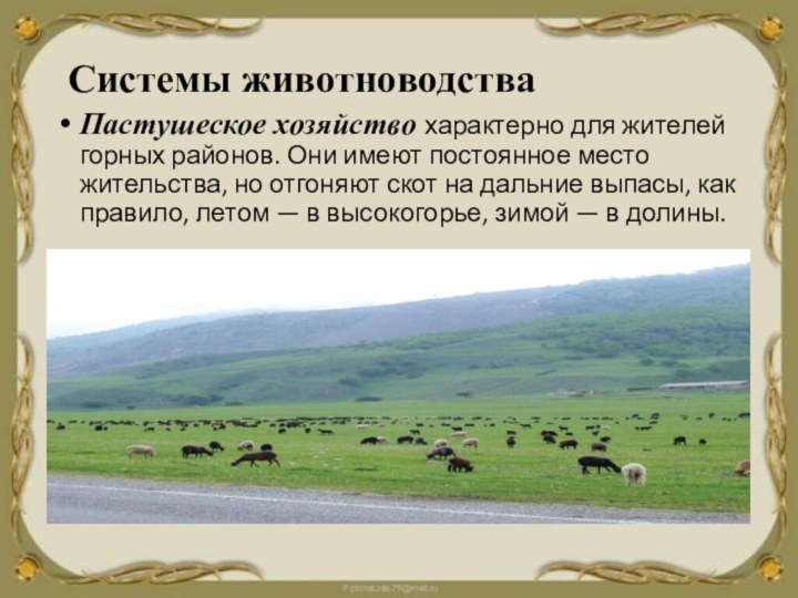 Пастушеское хозяйство характерно для жителей горных районов. Они имеют постоянное место жительства,