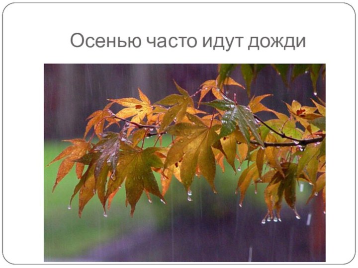 Осенью часто идут дожди