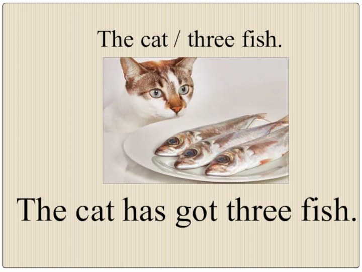 The cat / three fish.The cat has got three fish.