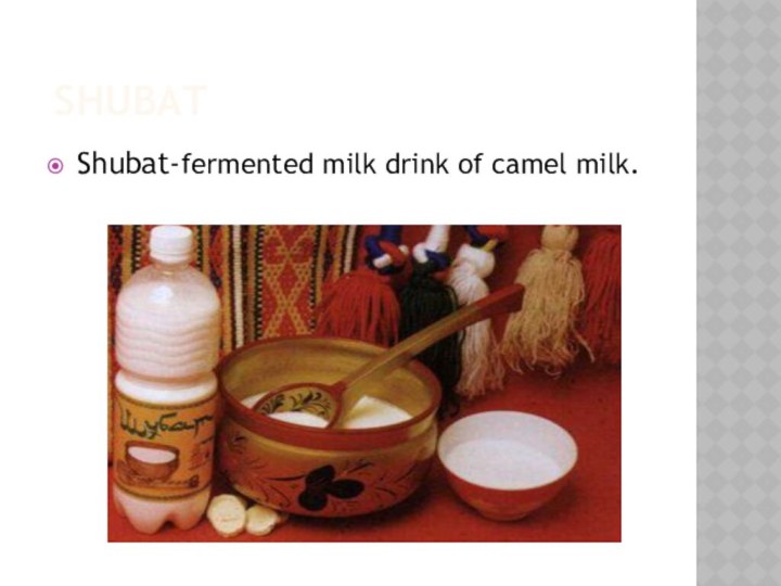 shubatShubat-fermented milk drink of camel milk.
