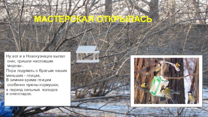 МАСТЕРСКАЯ ОТКРЫЛАСЬНу вот и в Новокузнецке выпал снег, пришли настоящие морозы