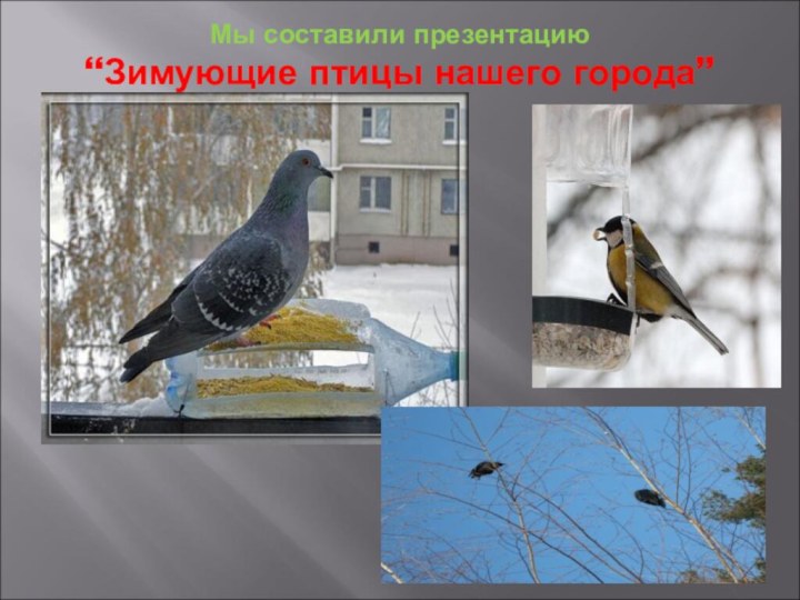 Мы составили презентацию  “Зимующие птицы нашего города”