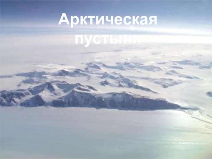 Арктическая пустыня